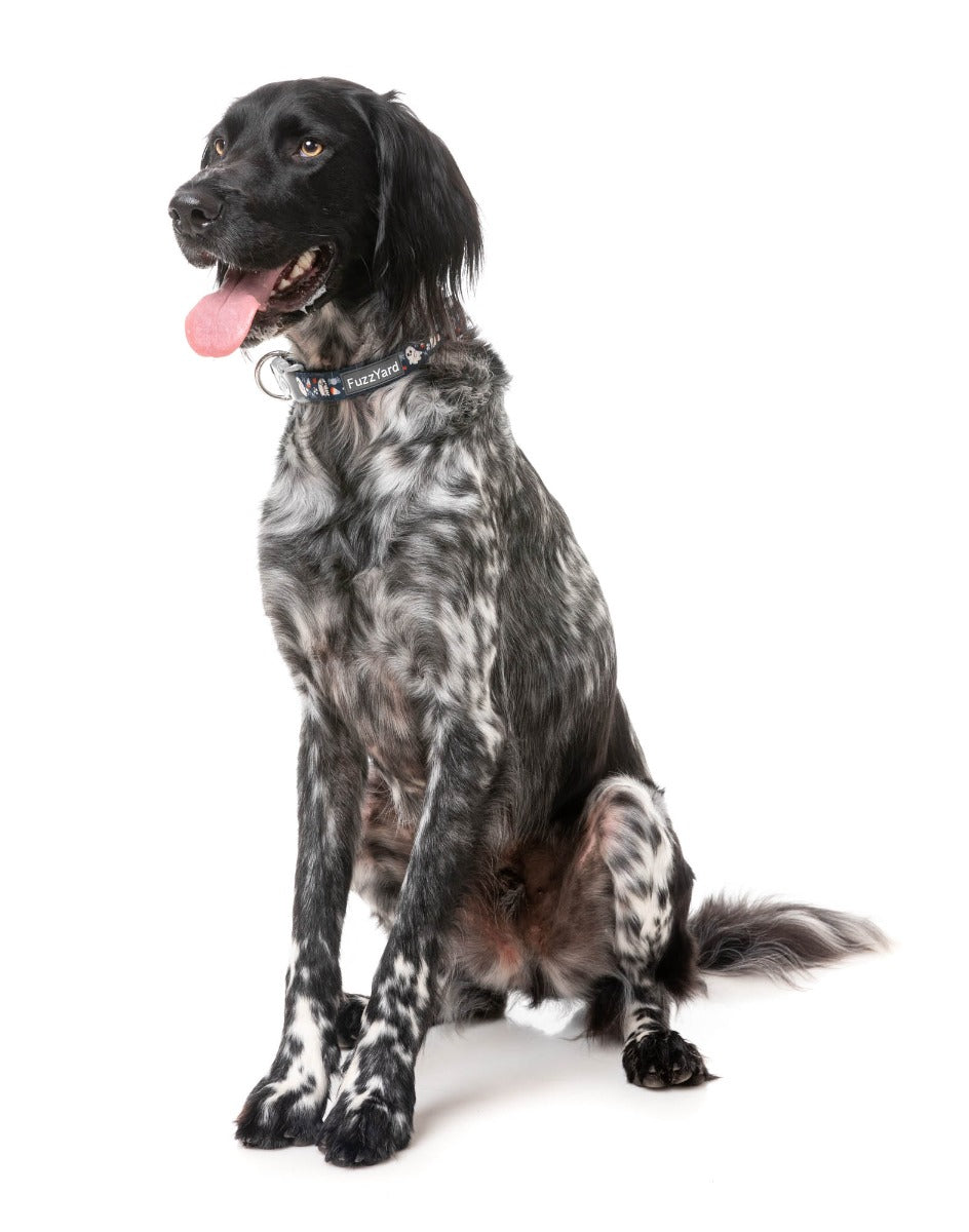 That's The Spirit - Dog Collar by FuzzYard