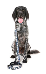That's The Spirit - Dog Lead by FuzzYard
