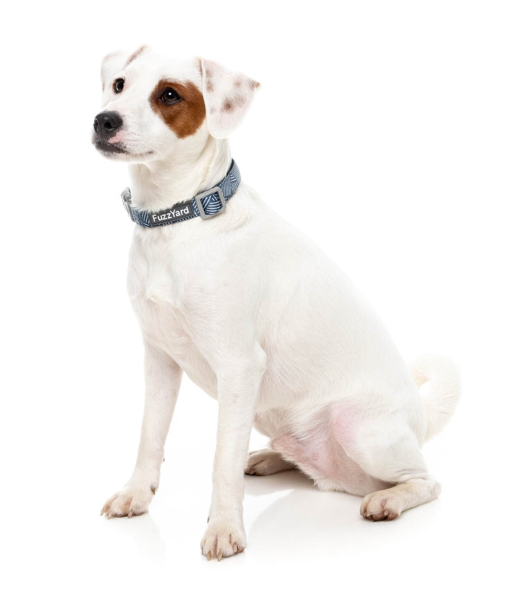 Thornbury - Aegean Blue - Dog Collar by FuzzYard