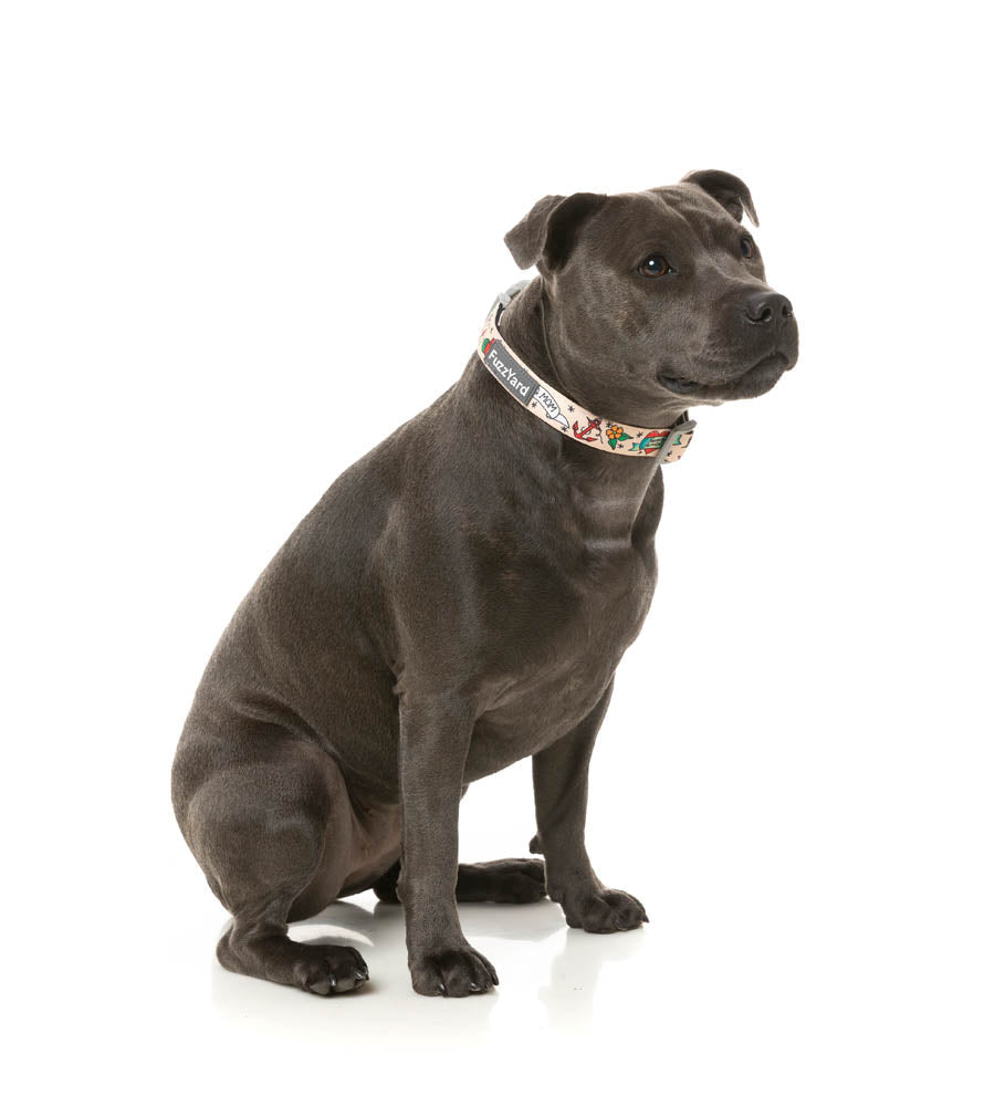 Ink'd Up - Dog Collar by FuzzYard