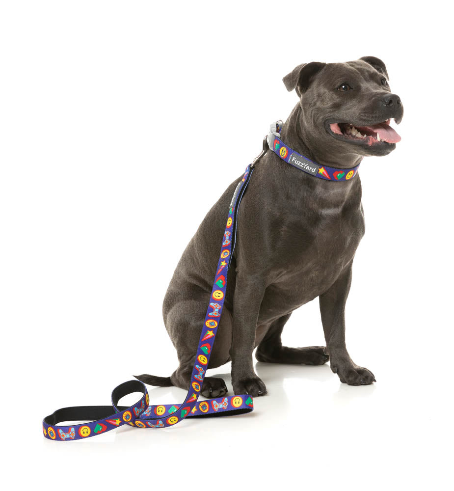 Highscore - Dog Lead by FuzzYard