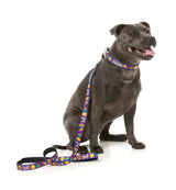 Highscore - Dog Lead by FuzzYard