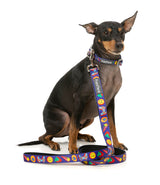 Highscore - Dog Lead by FuzzYard