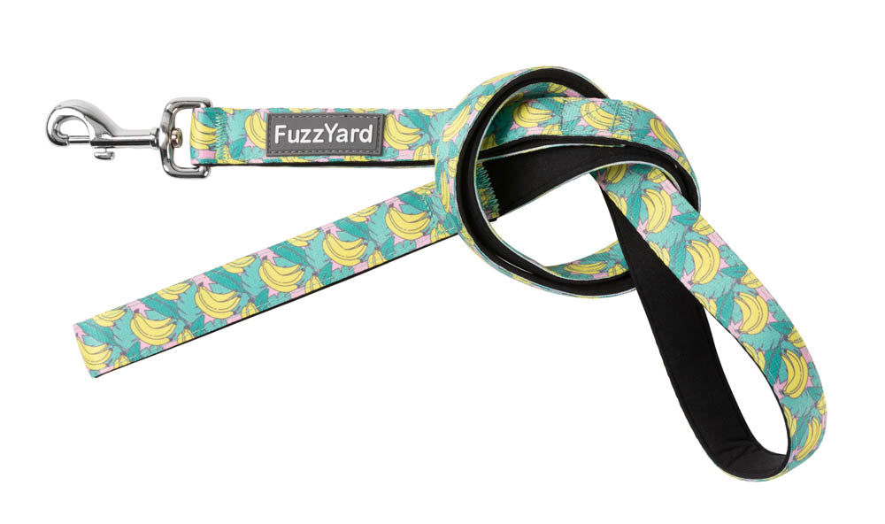Bananarama - Dog Lead by FuzzYard