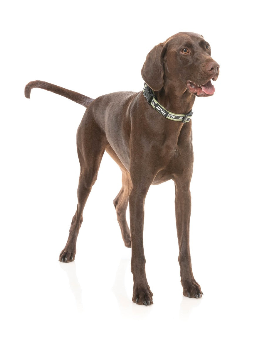 FY Active Collar - Khaki