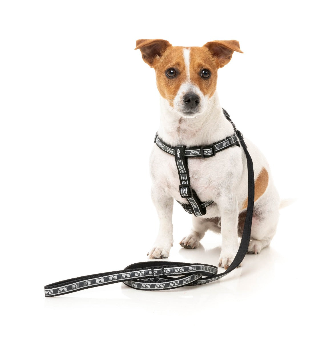 FY Active Lead - Black