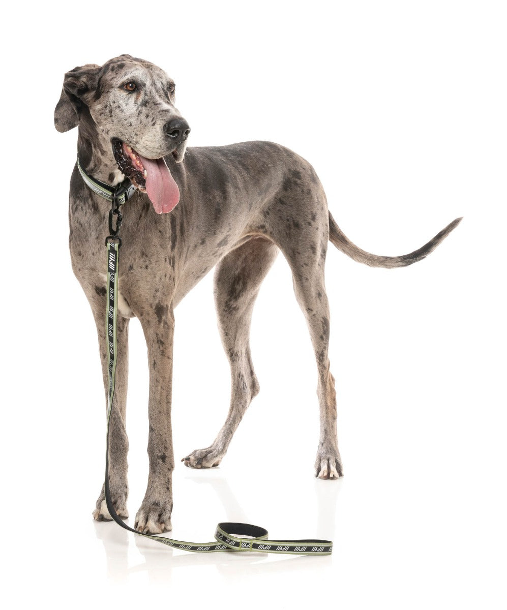 FY Active Lead - Khaki