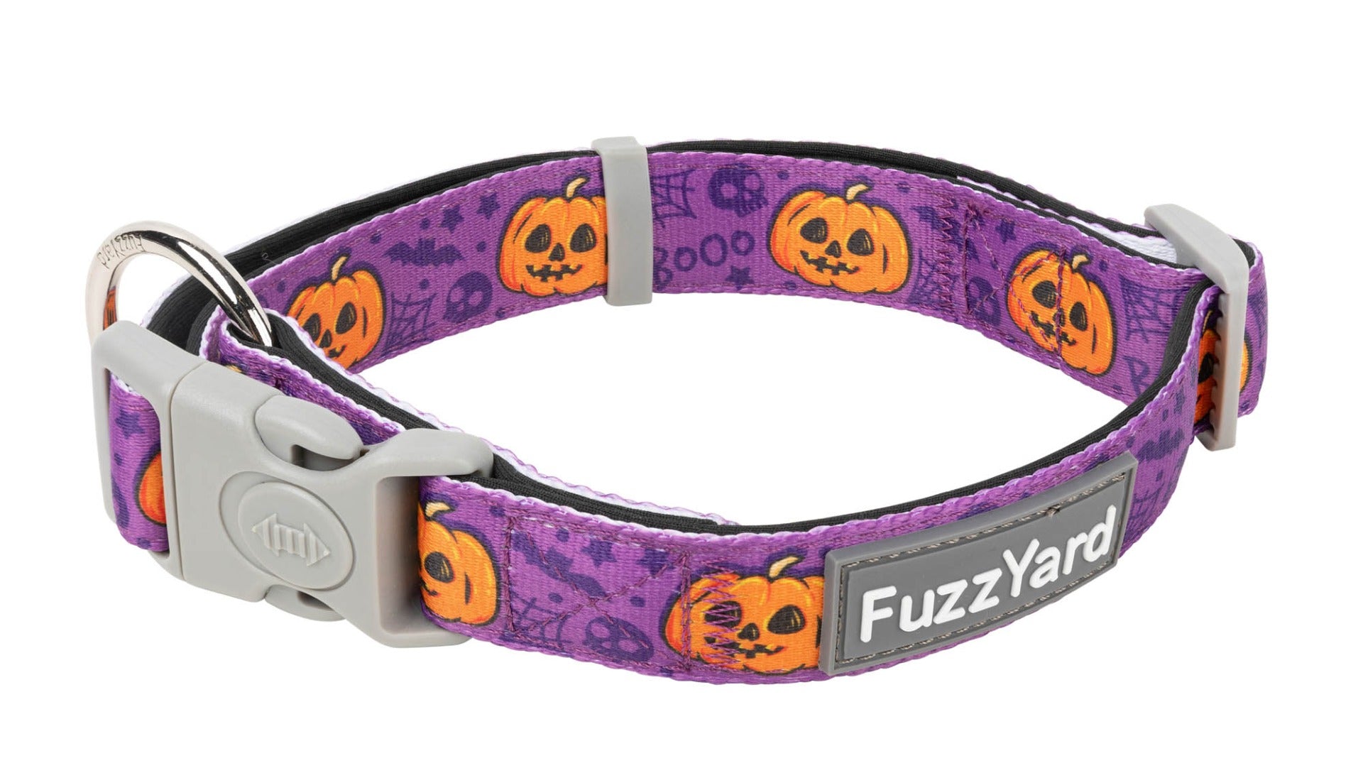 Jack Jack Jackie Lantern - Purple - Dog Collar by FuzzYard