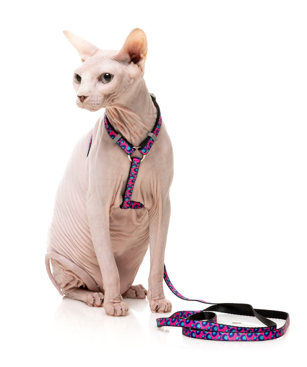 Wild One Bubblegum - Cat Walking Set by FuzzYard