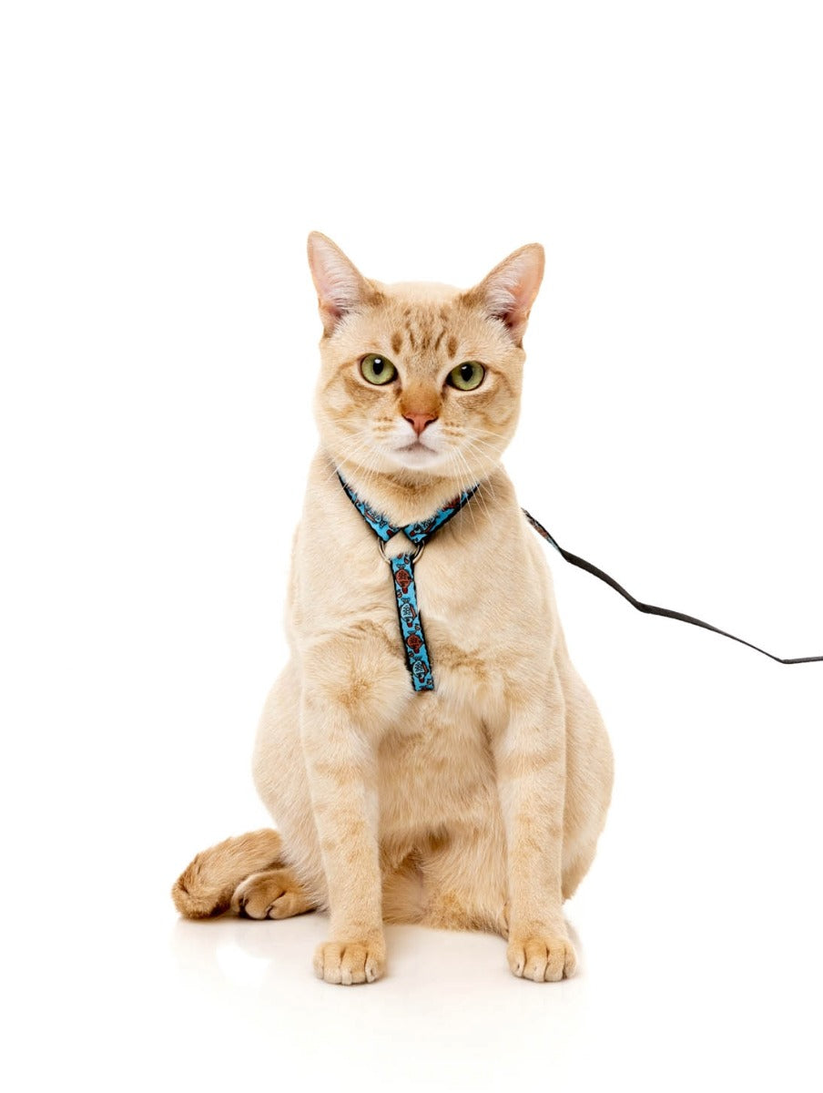 Soy Sauce Fish - Cat Walking Set by FuzzYard