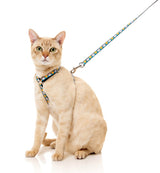 Cheesy Hearts - Cat Walking Set by FuzzYard