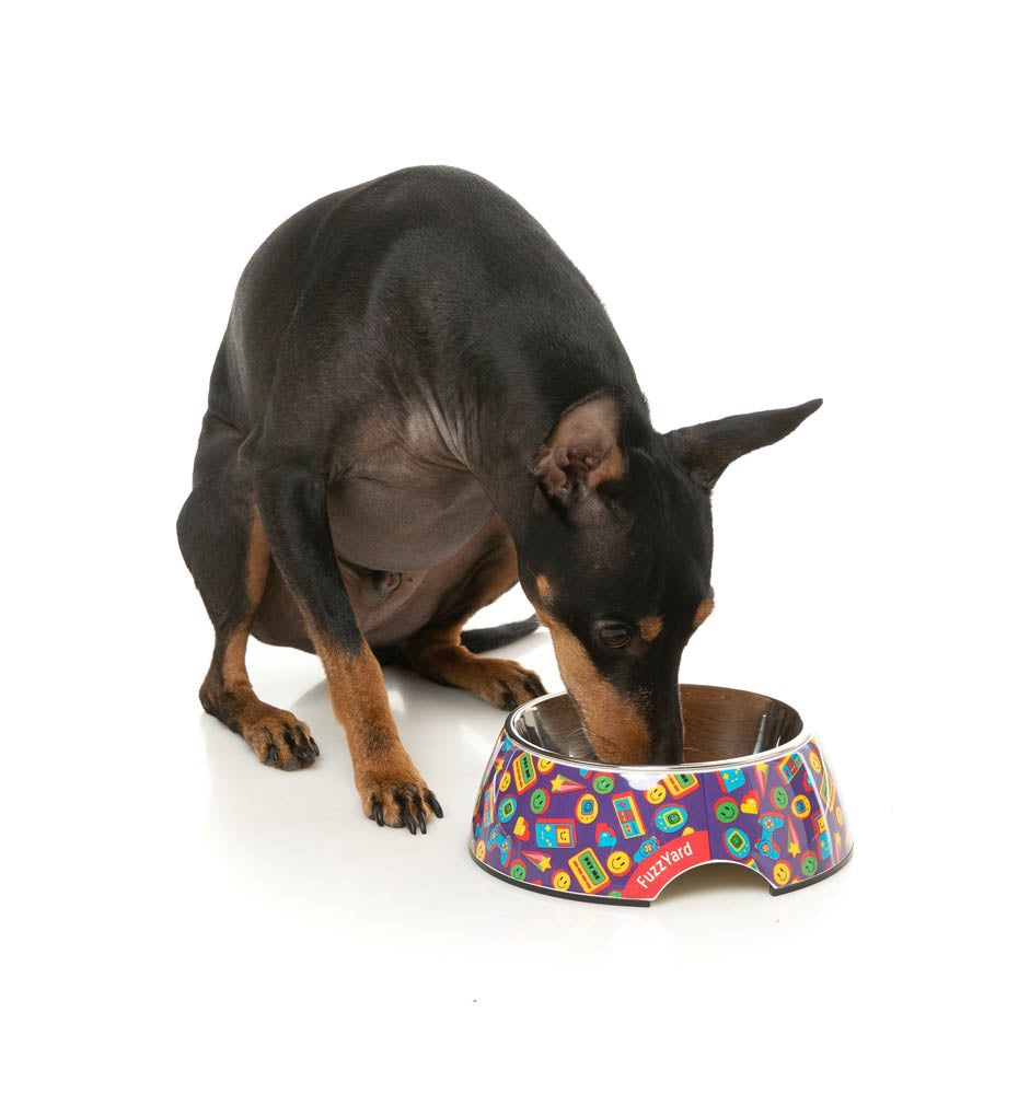 Highscore - Easy Feeder Bowl by FuzzYard