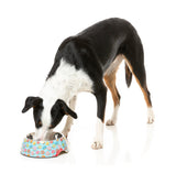 You Drive Me Glazy - Easy Feeder Bowl by FuzzYard