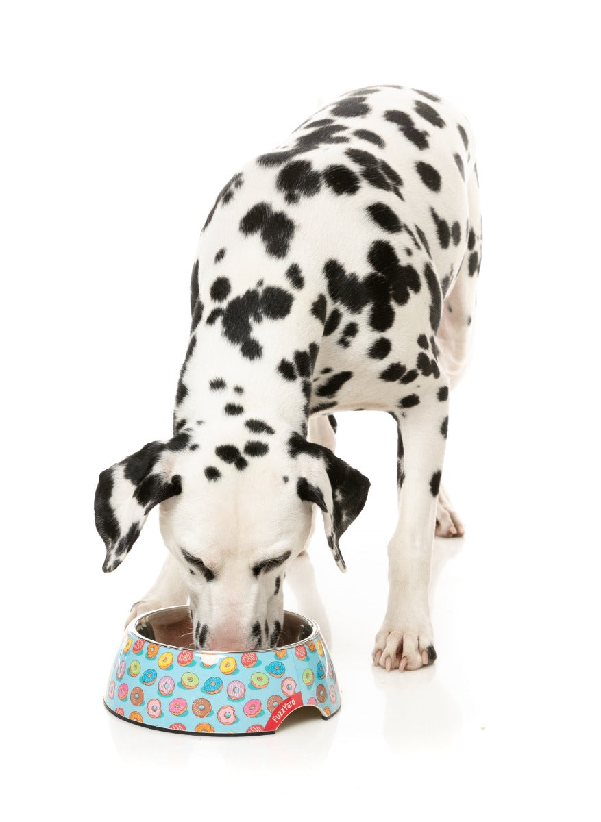 You Drive Me Glazy - Easy Feeder Bowl by FuzzYard