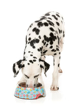 You Drive Me Glazy - Easy Feeder Bowl by FuzzYard