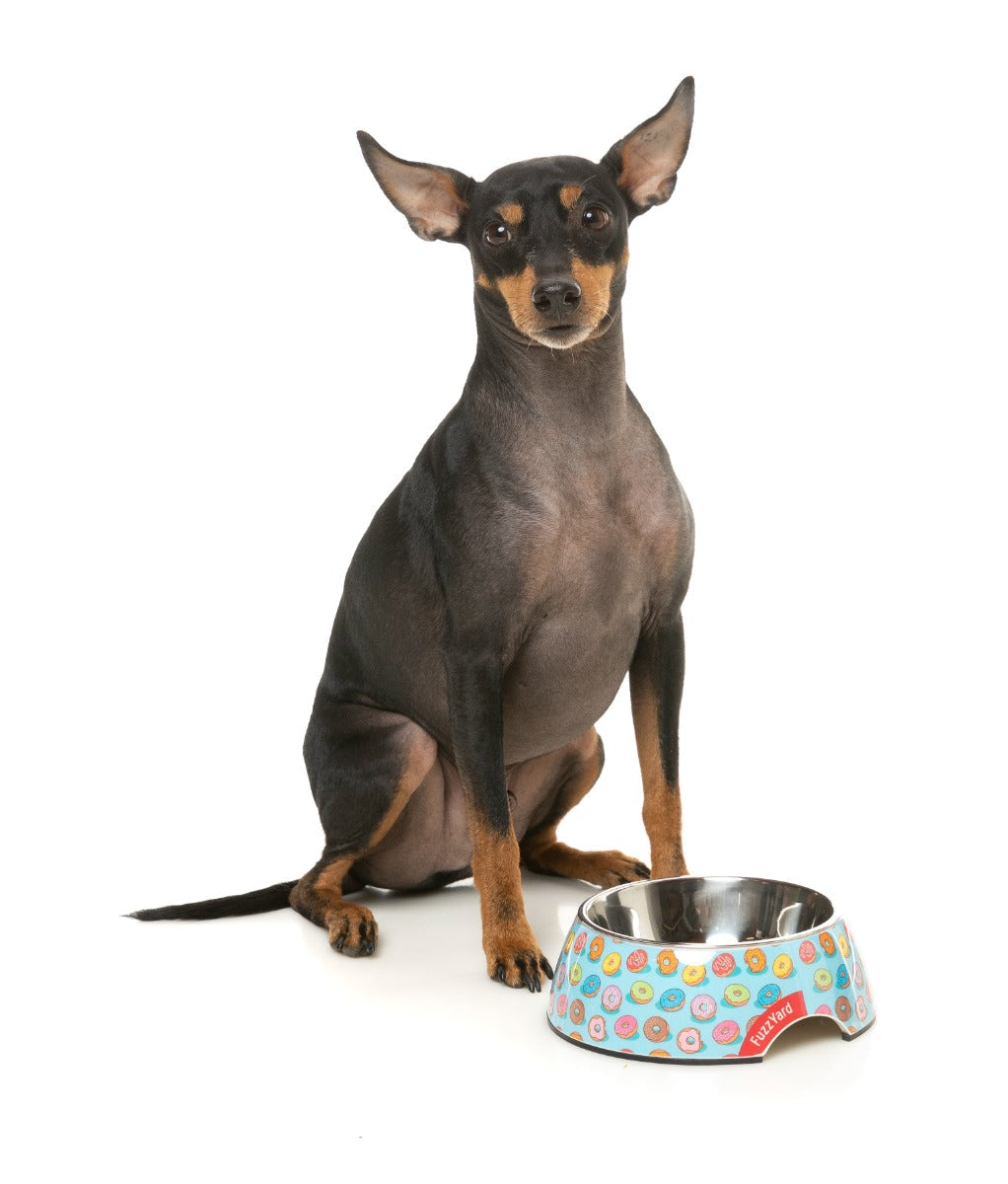 You Drive Me Glazy - Easy Feeder Bowl by FuzzYard