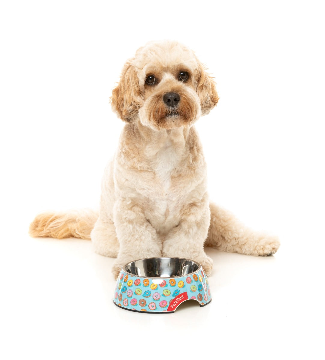 You Drive Me Glazy - Easy Feeder Bowl by FuzzYard