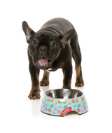 You Drive Me Glazy - Easy Feeder Bowl by FuzzYard