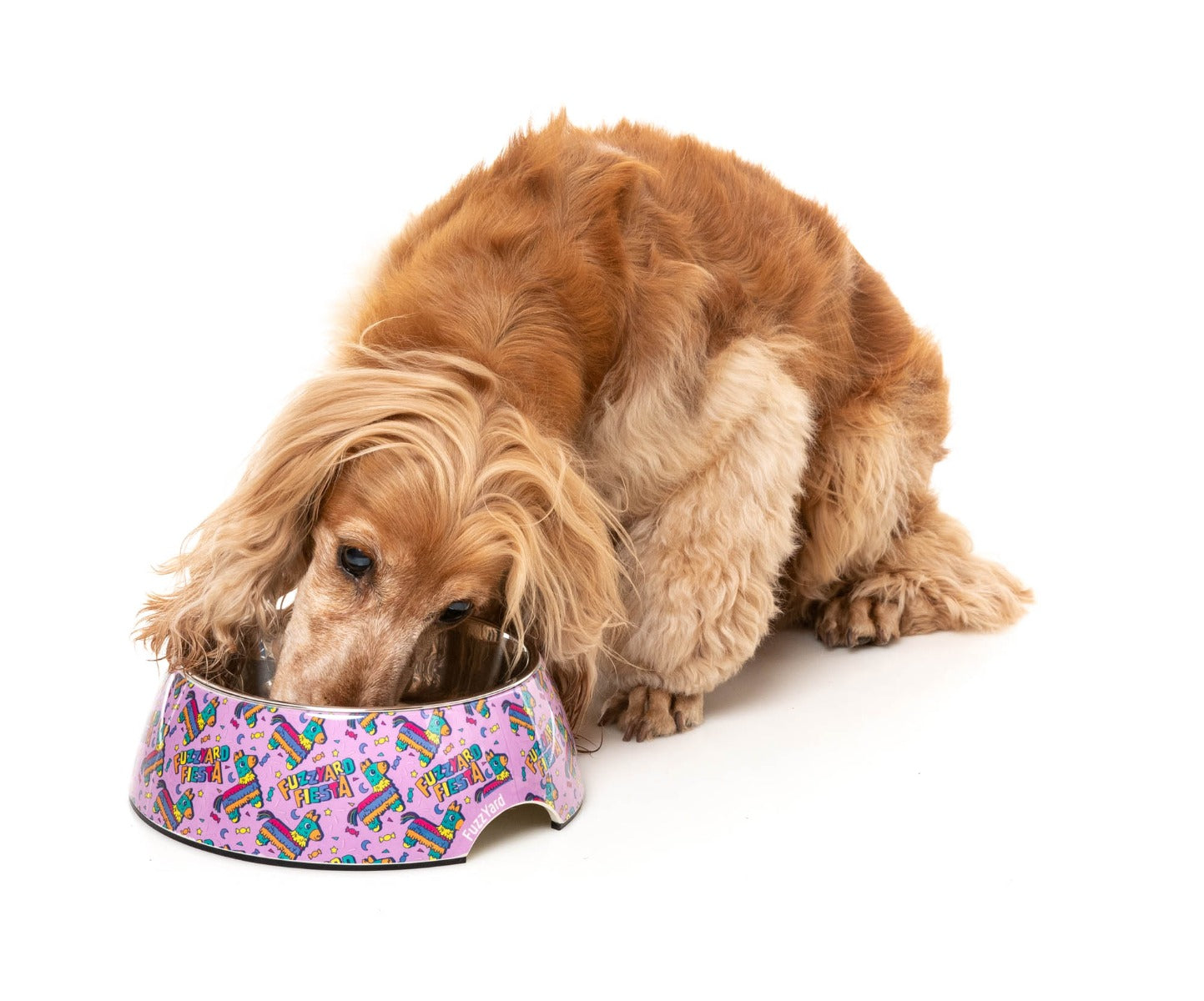 FuzzYard Fiesta - Easy Feeder Bowl by FuzzYard