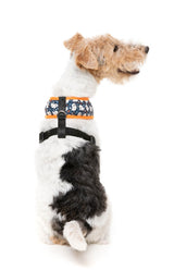 That's The Spirit - Dog Harness by FuzzYard