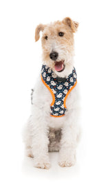 That's The Spirit - Dog Harness by FuzzYard