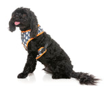That's The Spirit - Dog Harness by FuzzYard