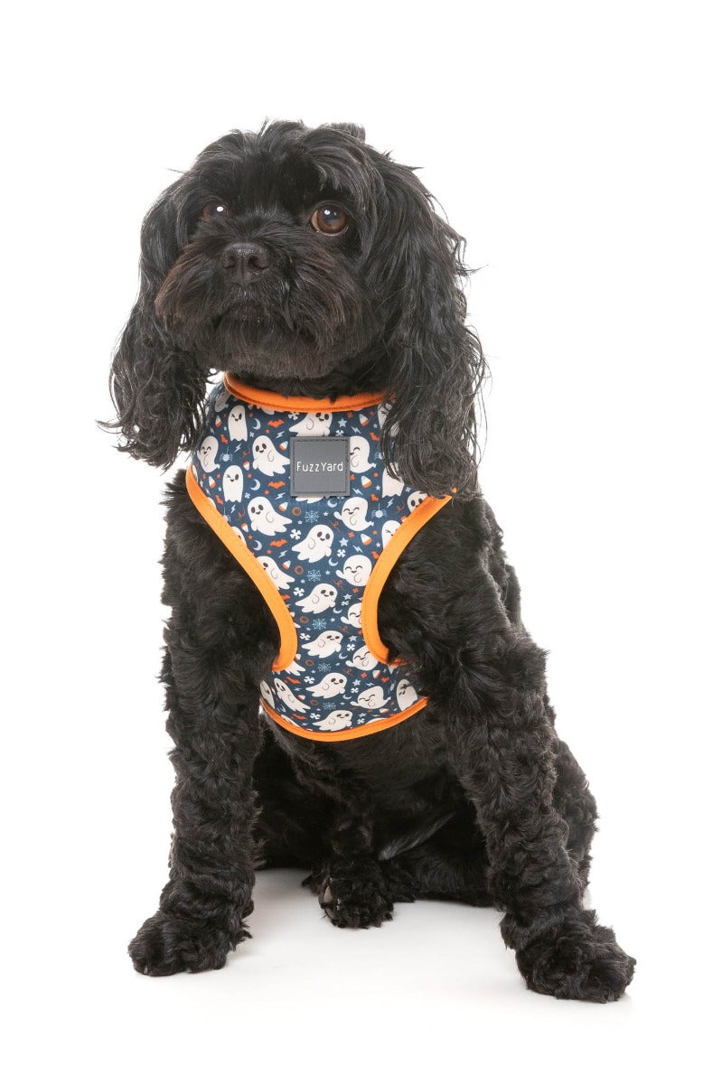 That's The Spirit - Dog Harness by FuzzYard