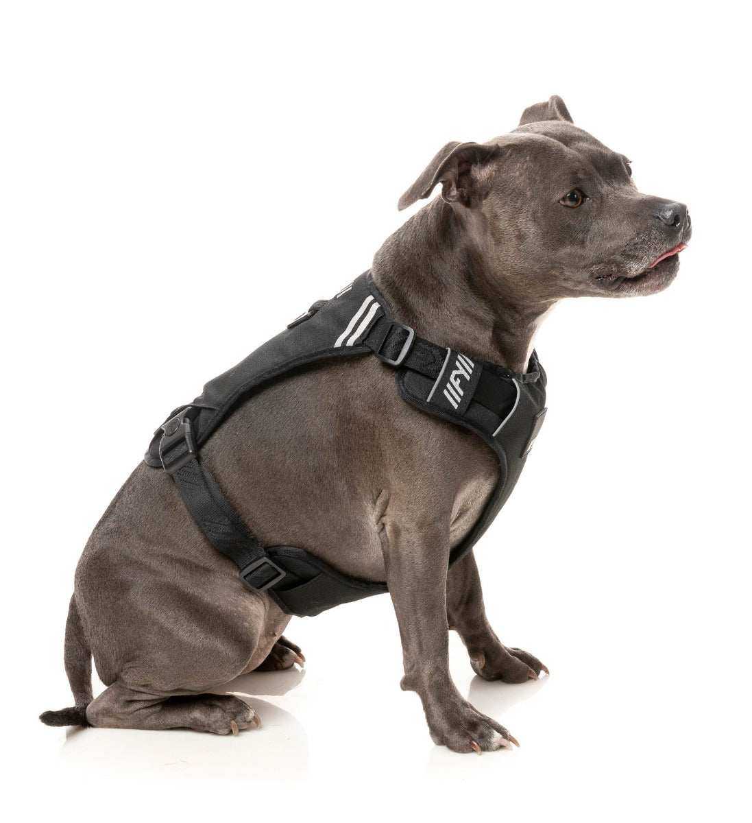 Go Harness - Black by FY Active