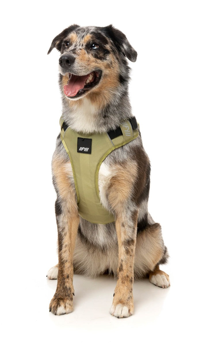 Go Harness - Khaki by FY Active