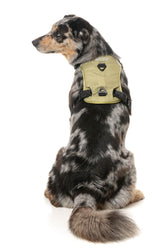 Go Harness - Khaki by FY Active