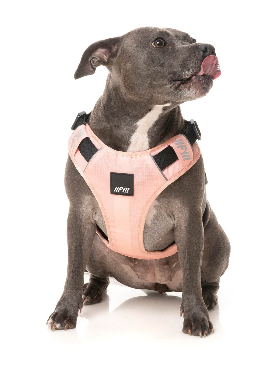 Go Harness - Peach by FY Active