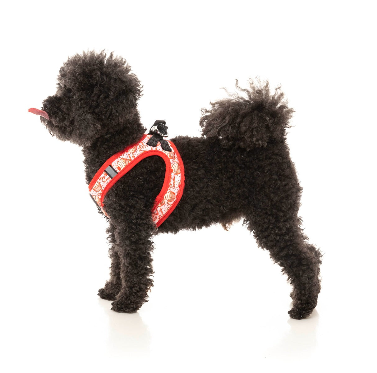 poodle in Hey There Sweetie - Step In Harness