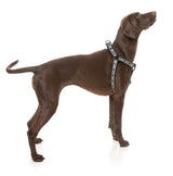 Strap Harness - Black by FY Active