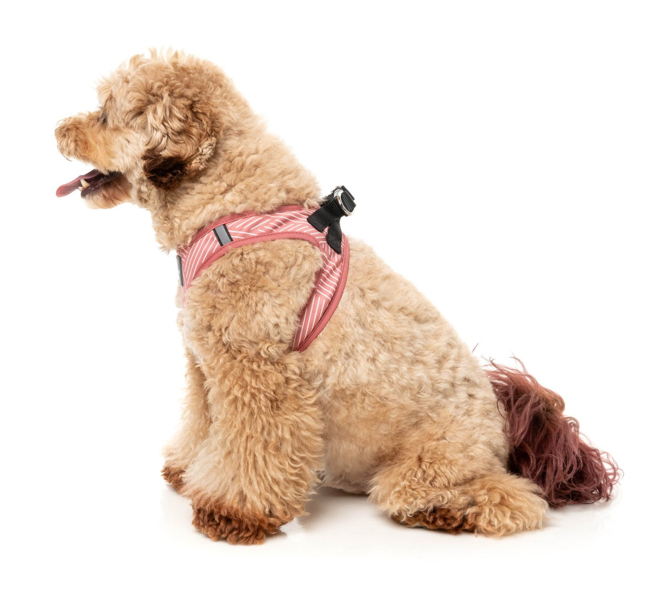 Thornbury - Brick Red - Step In Harness by FuzzYard