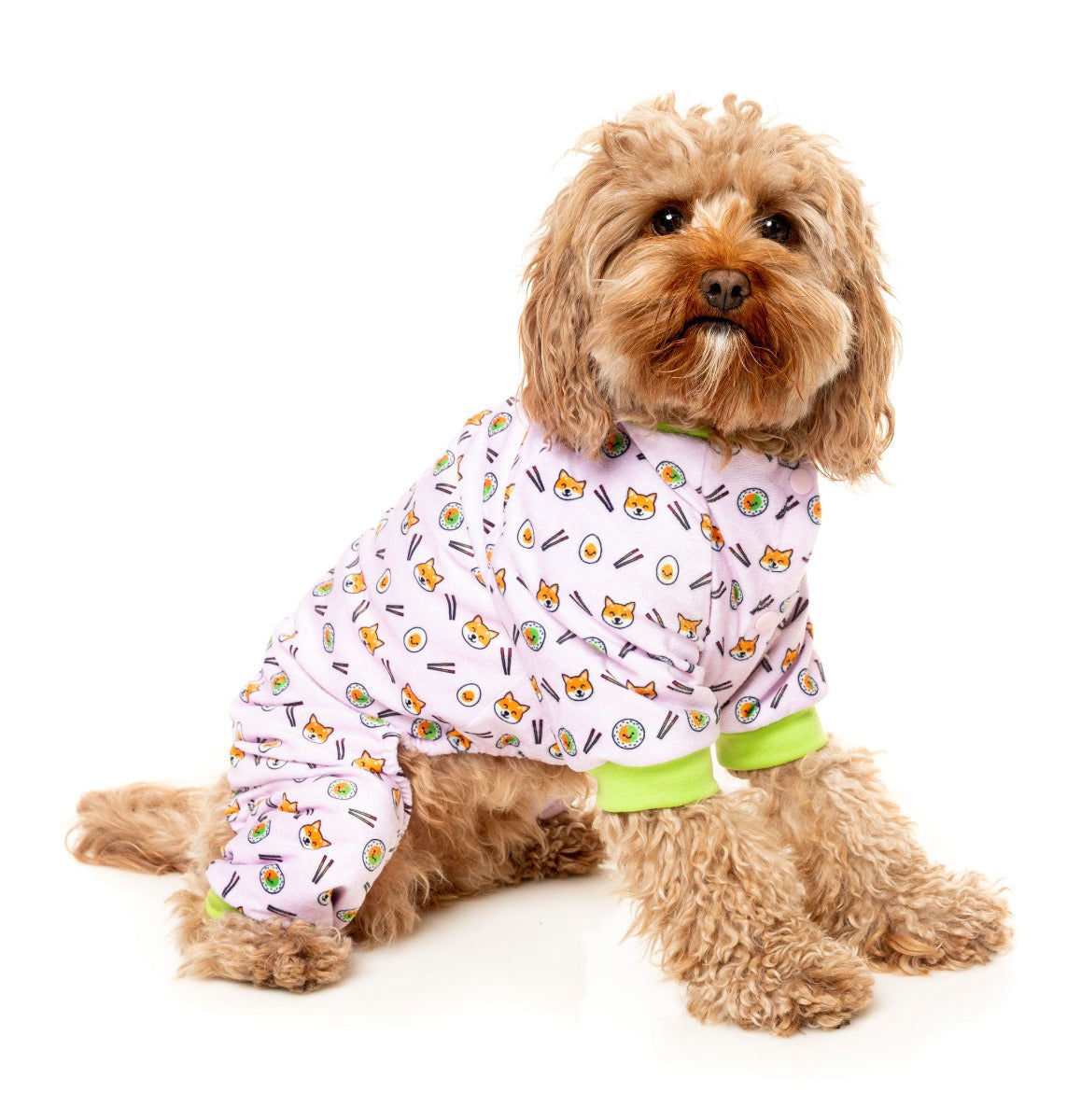 cavoodle wearing Pyjamas SuShiba for dogs and pets