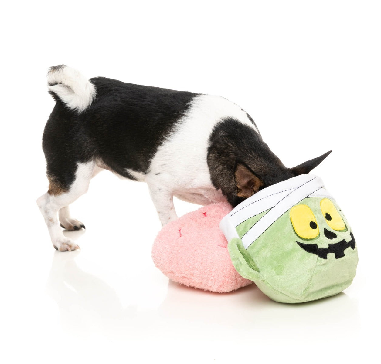 Gauzetin Powers 2-in-1 Dog Toy by FuzzYard