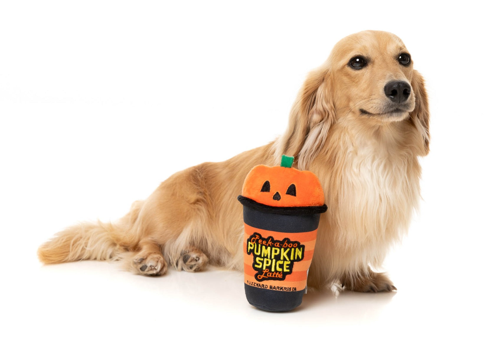 Peek-A-Boo Pumpkin Spice Latte - Dog Toy by FuzzYard