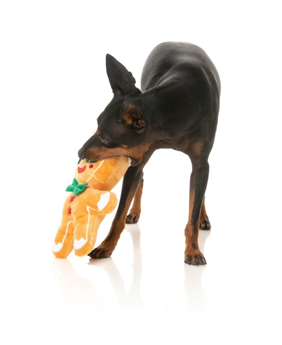 Jolly Gingerboi - Dog Toy by FuzzYard