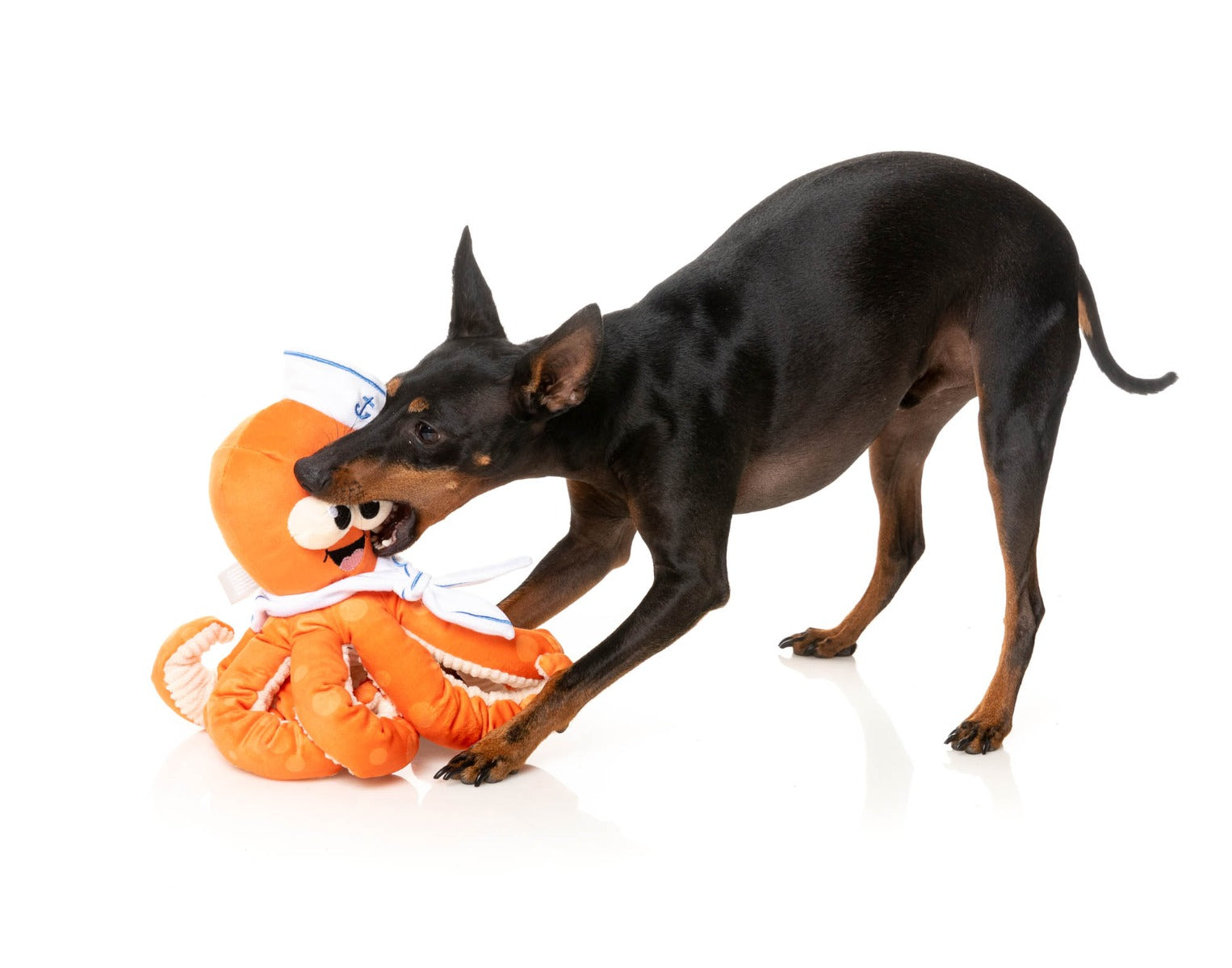Octo-Posse Dog Toy - Sailor Squiggles by FuzzYard