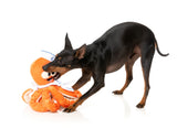 Octo-Posse Dog Toy - Sailor Squiggles by FuzzYard
