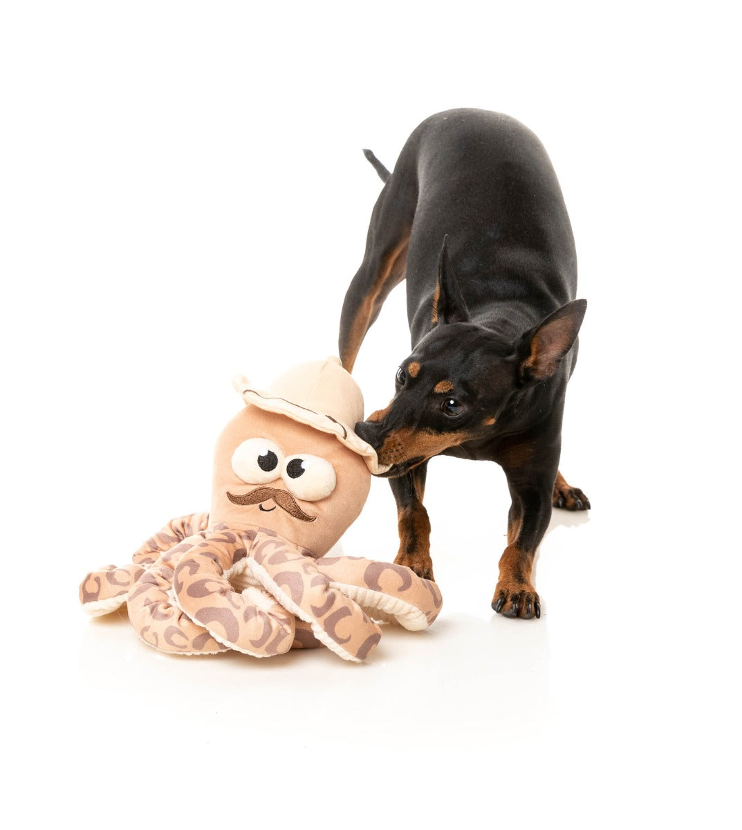Octo-Posse Dog Toy - Sir David Octoborough by FuzzYard