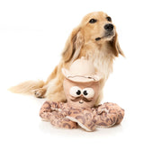 Octo-Posse Dog Toy - Sir David Octoborough by FuzzYard