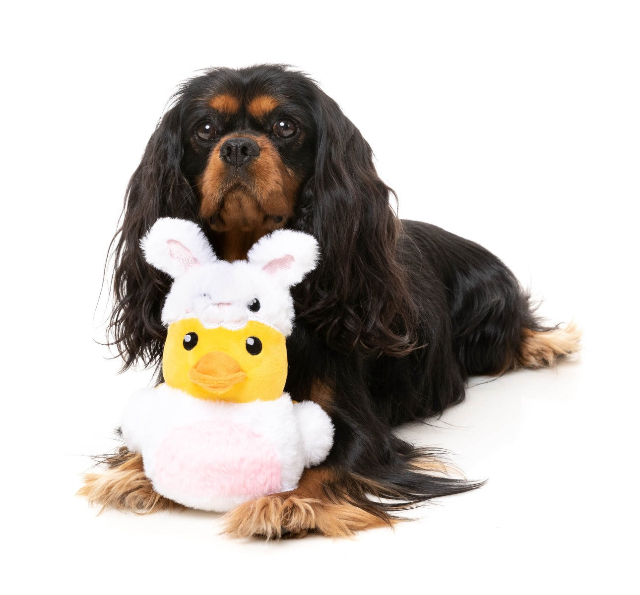 Easter Duck - Dog Toy by FuzzYard