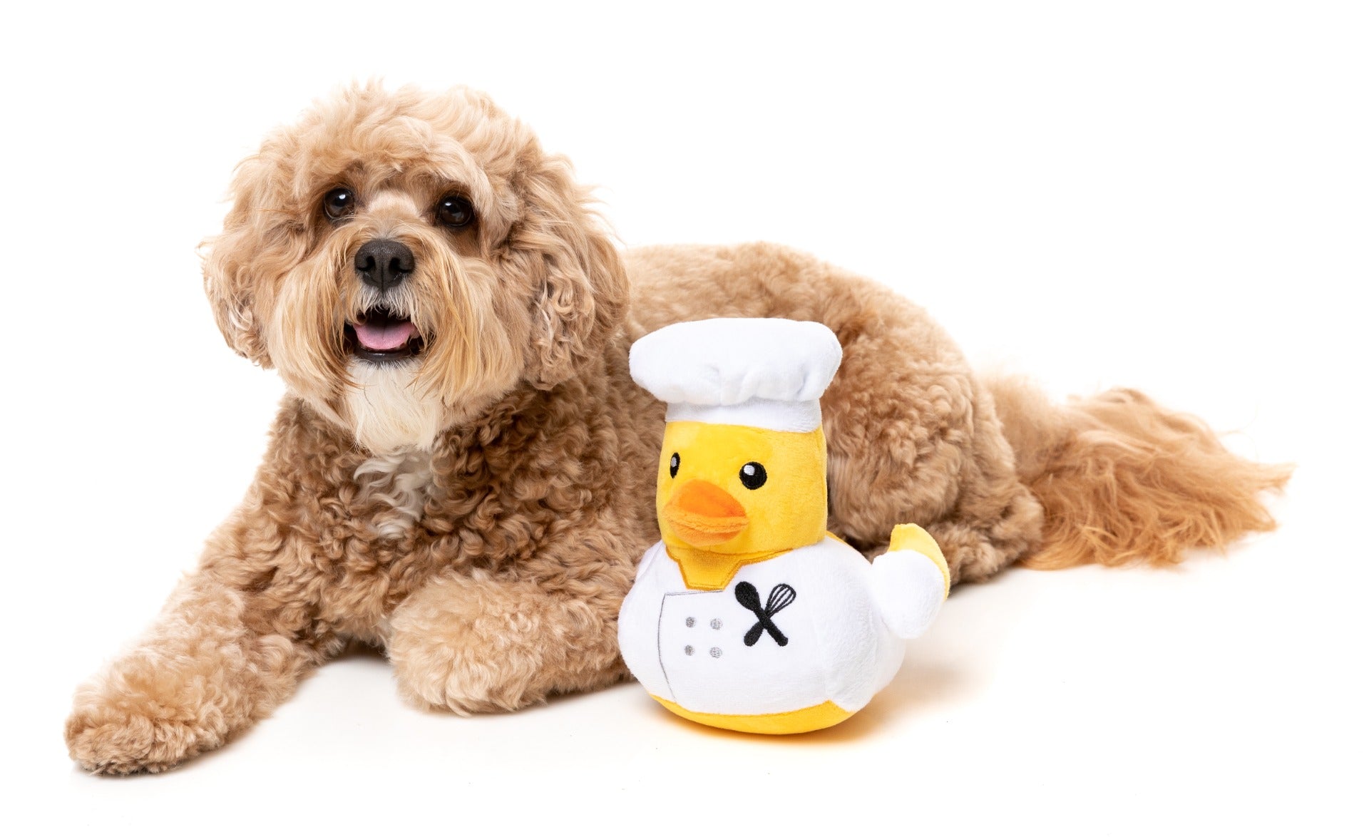 Gordon Quacksay - Dog Toy by FuzzYard
