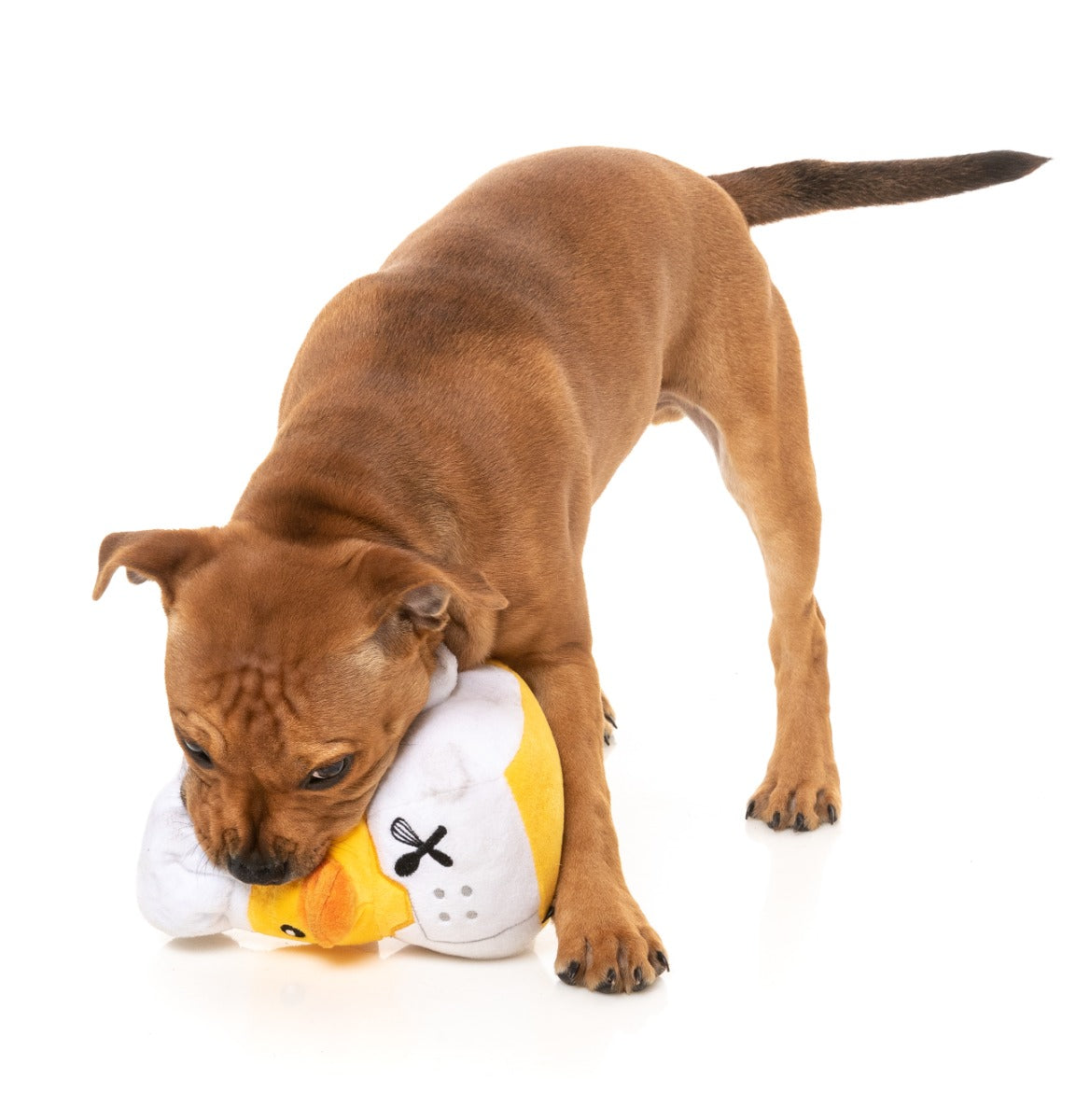 Gordon Quacksay - Dog Toy by FuzzYard