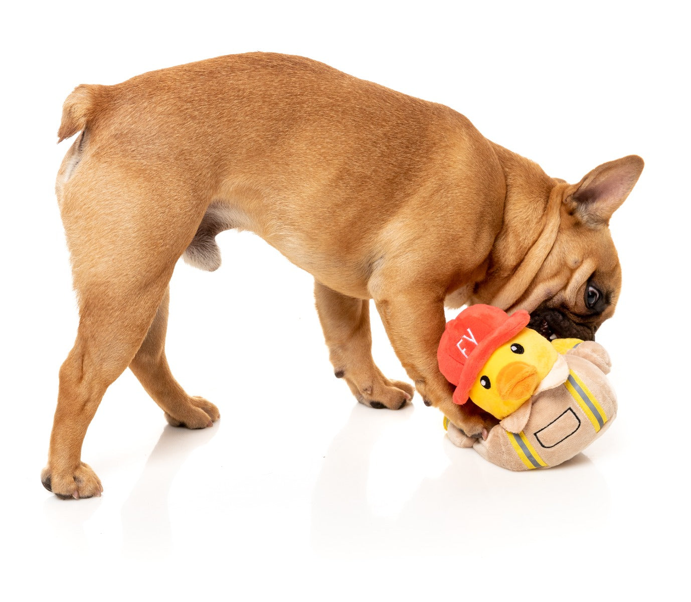 Firequacker - Dog Toy by FuzzYard