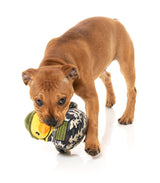 Commanduck - Dog Toy by FuzzYard