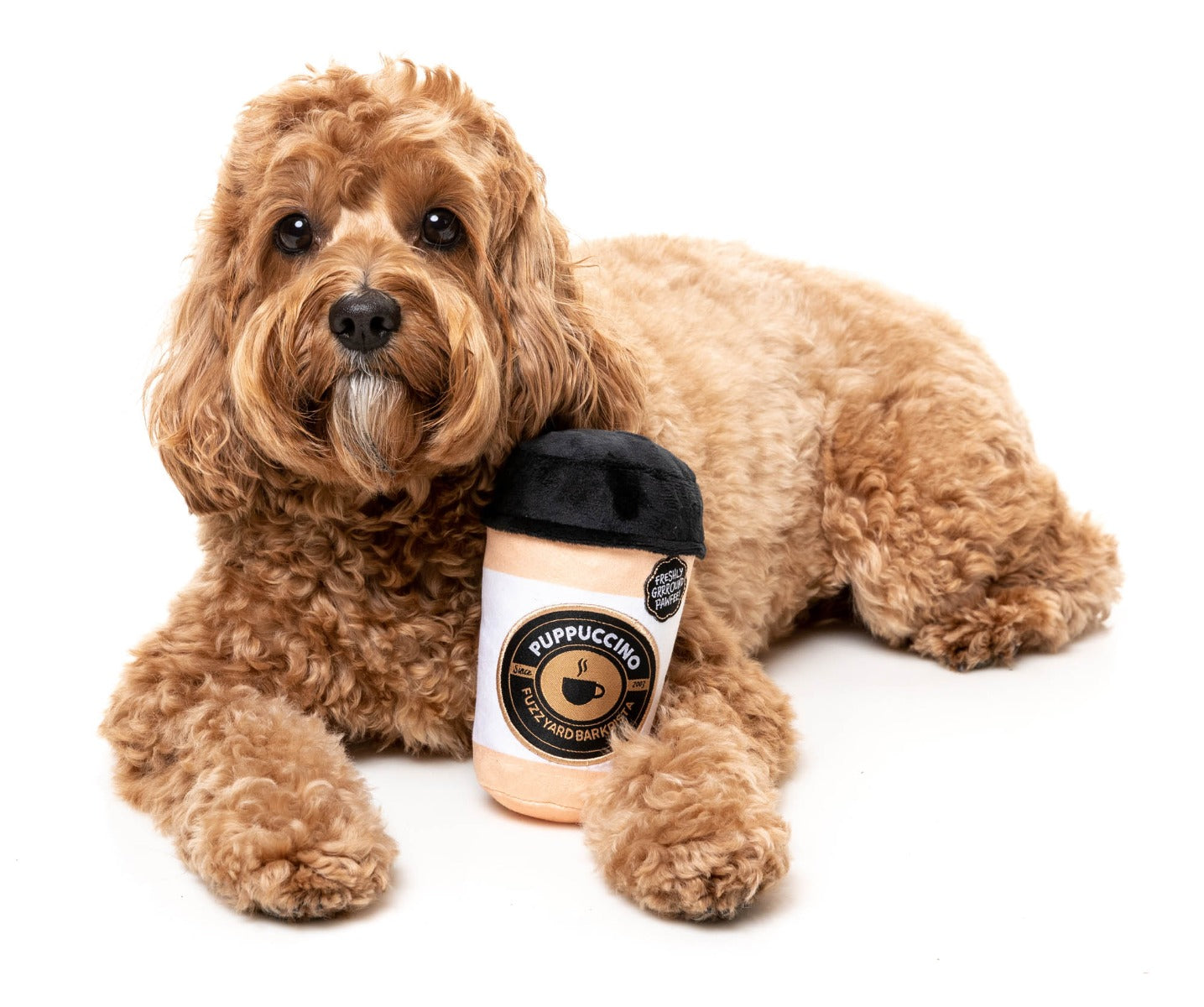 Barkrista Puppuccino - Dog Toy by FuzzYard