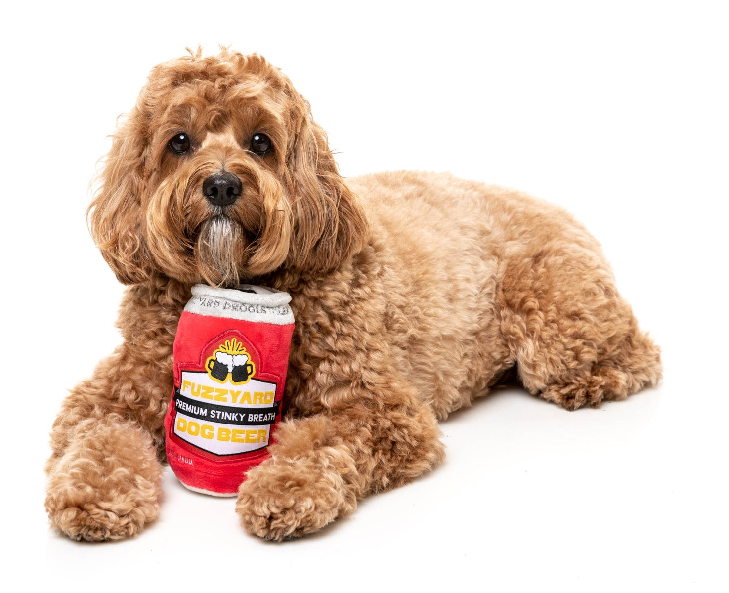 FuzzYard Dog Beer - Dog Toy by FuzzYard