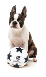 FuzzYard Soccer Ball - Dog Toy by FuzzYard